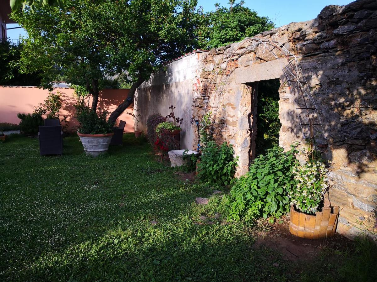 Bed and Breakfast Zia Chiarina San Nicolo Gerrei Exteriér fotografie