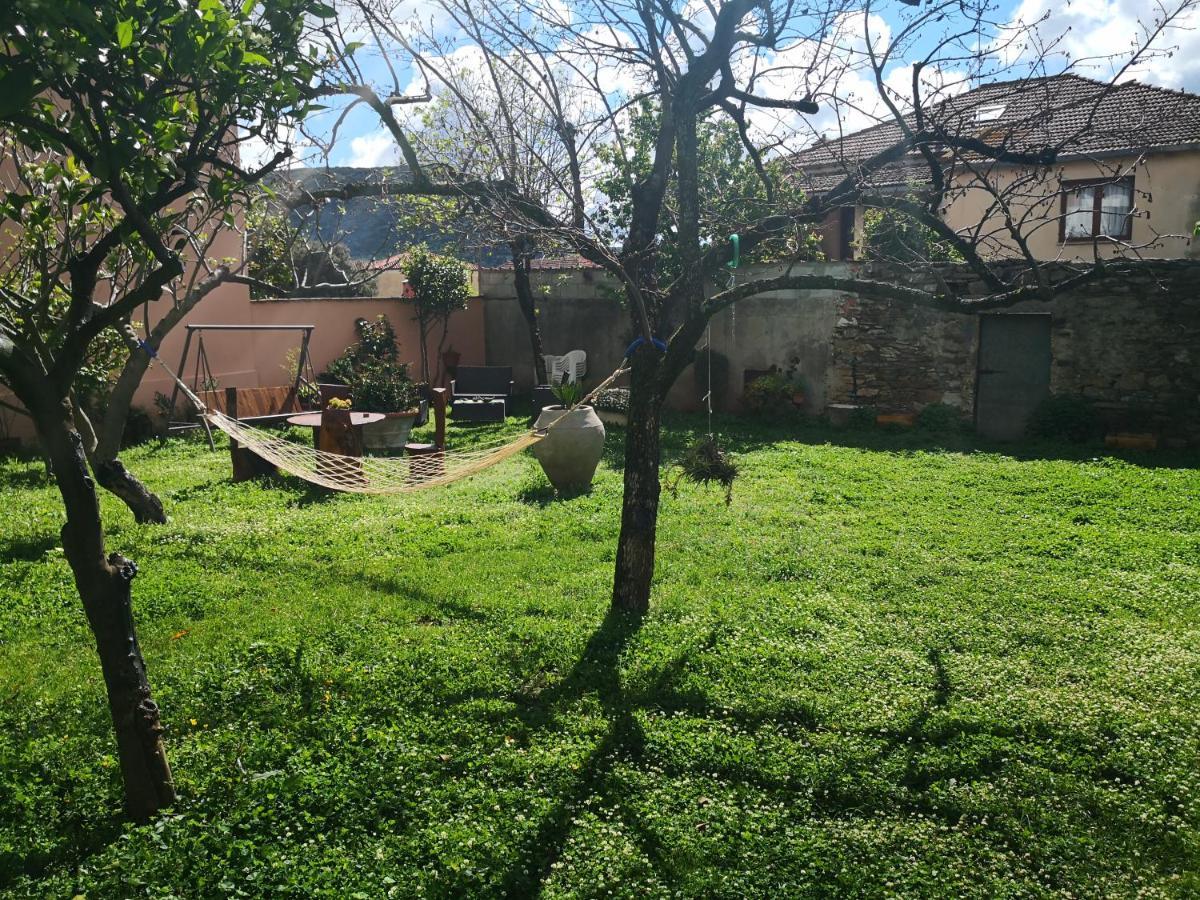 Bed and Breakfast Zia Chiarina San Nicolo Gerrei Exteriér fotografie