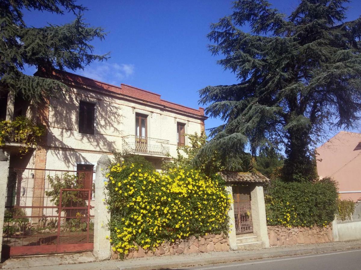 Bed and Breakfast Zia Chiarina San Nicolo Gerrei Exteriér fotografie