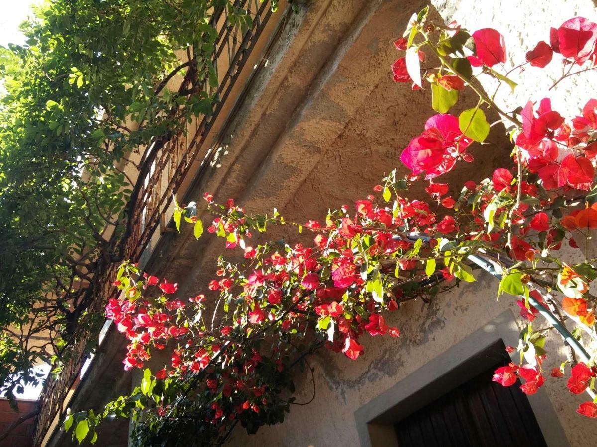 Bed and Breakfast Zia Chiarina San Nicolo Gerrei Exteriér fotografie