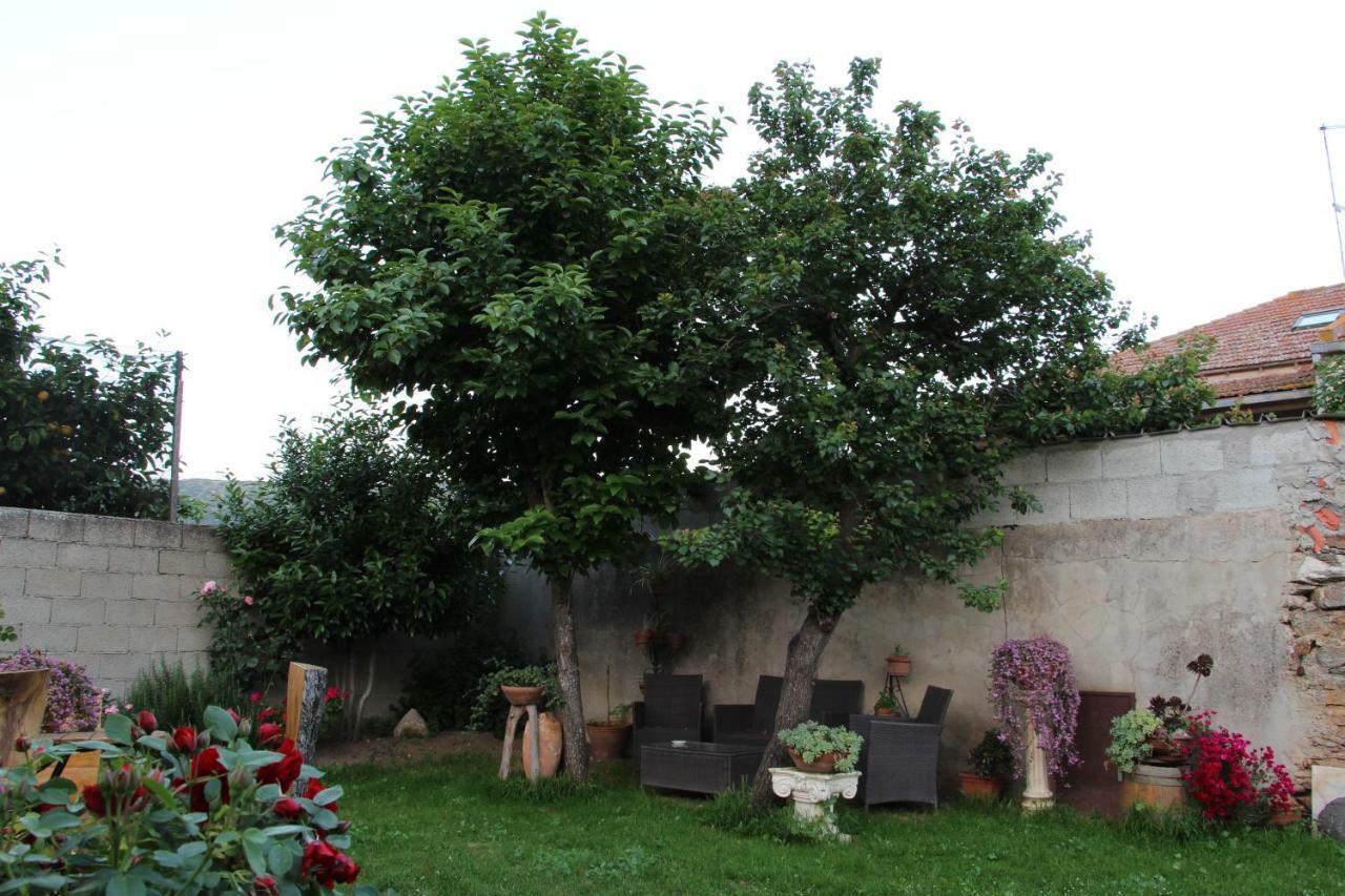 Bed and Breakfast Zia Chiarina San Nicolo Gerrei Exteriér fotografie