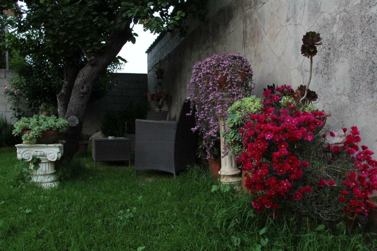 Bed and Breakfast Zia Chiarina San Nicolo Gerrei Exteriér fotografie